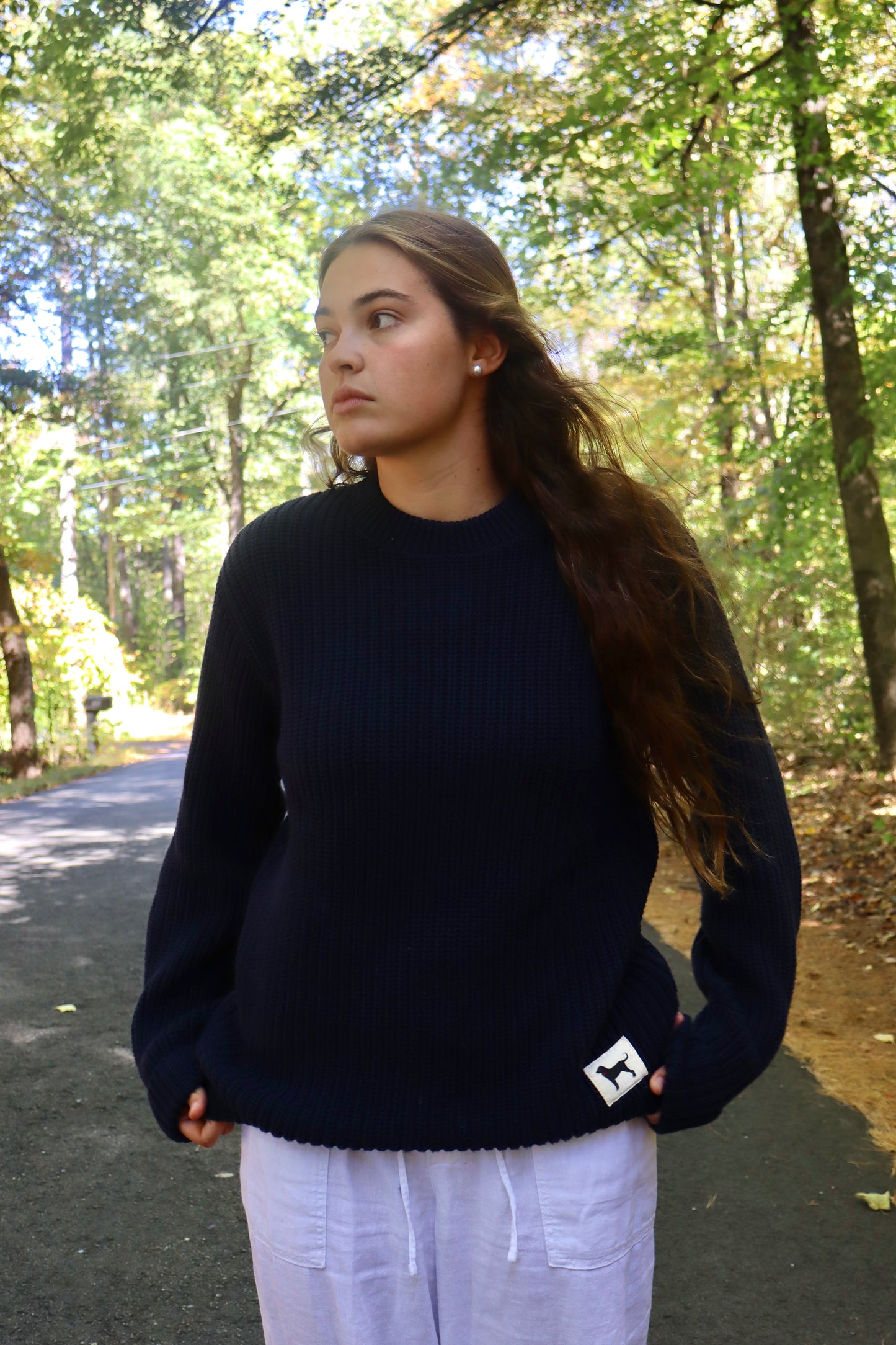 Black Dog Navy Knit Sweater