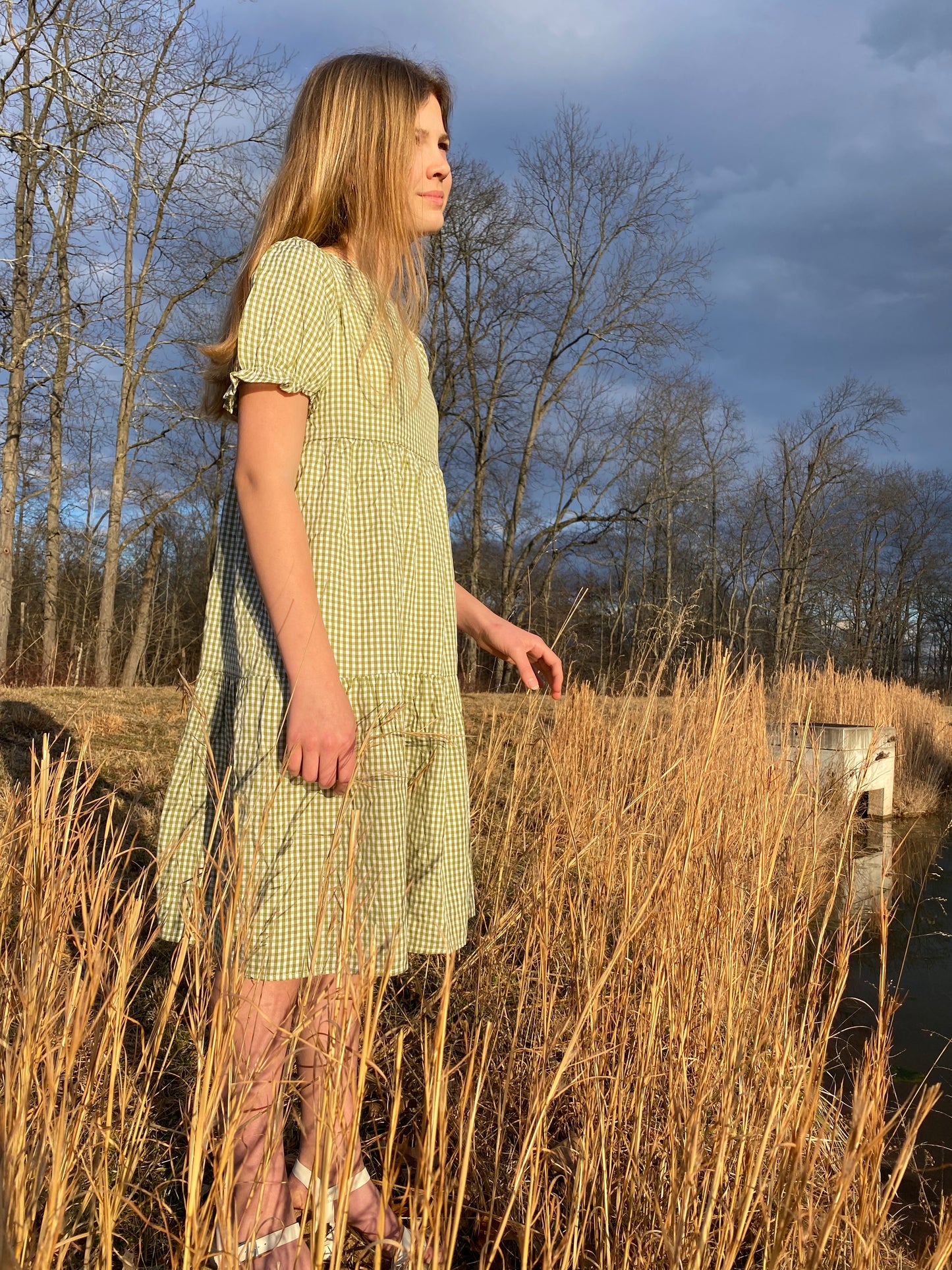 Picnic in the Park Girl’s Dress